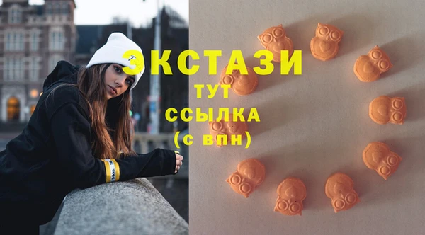 spice Богородск