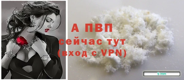 мескалин Богданович