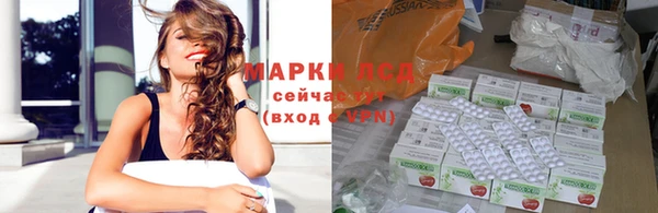 мескалин Богданович
