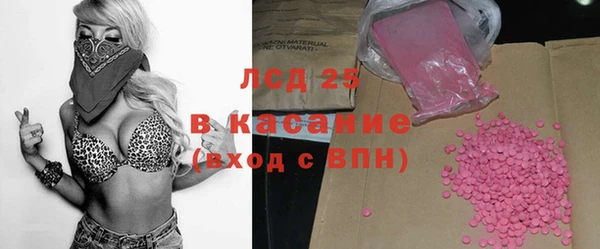 spice Богородск