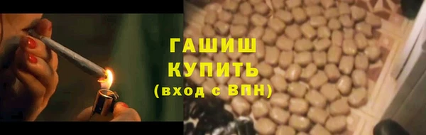 spice Богородск