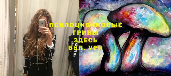 круглые Богородицк