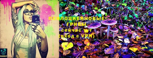 мескалин Богданович