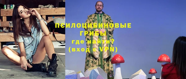 spice Богородск