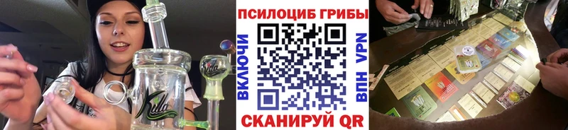 Псилоцибиновые грибы прущие грибы  Тамбов 